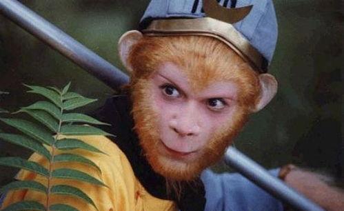 娱乐吃瓜酱西游记